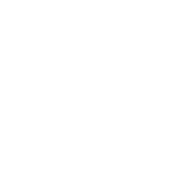 Cees Petroleum